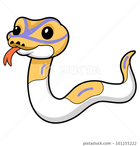 Cute banana pied ball python cartoon Cute banana pied ball python cartoon 101255222