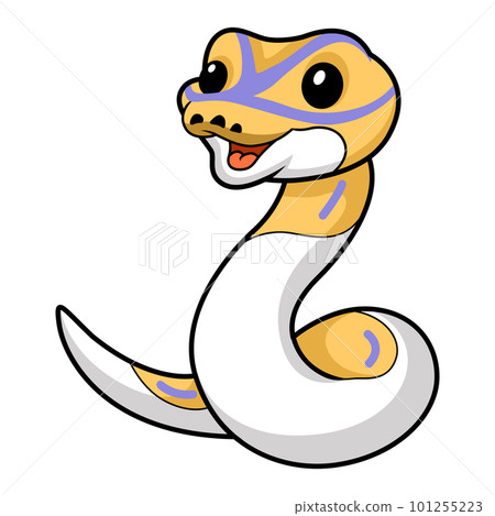 Cute banana pied ball python cartoon 101255223