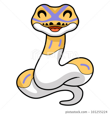 Cute banana pied ball python cartoon 101255224