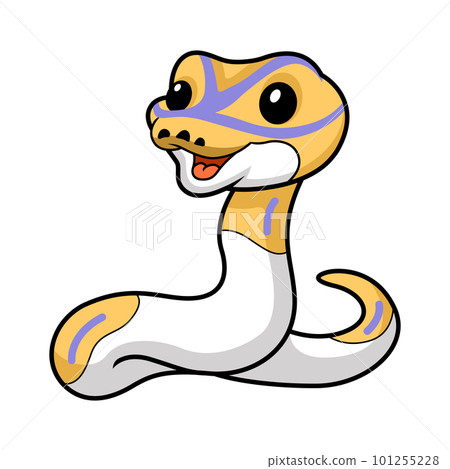 Cute banana pied ball python cartoon 101255228