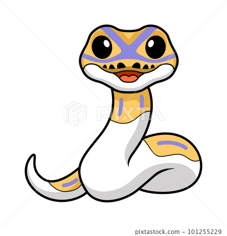 Cute banana pied ball python cartoon Cute banana pied ball python cartoon 101255229