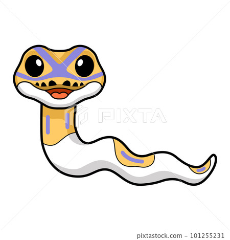 Cute banana pied ball python cartoon Cute banana pied ball python cartoon 101255231
