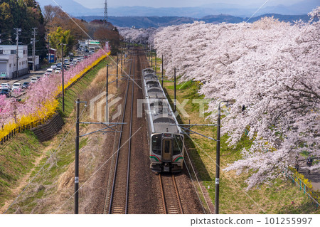 A train running on the Tohoku Main Line A train running on the Tohoku Main Line 101255997