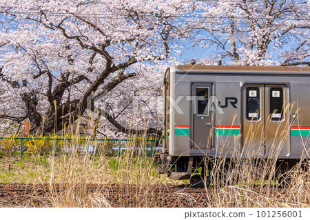 A train running on the Tohoku Main Line 101256001
