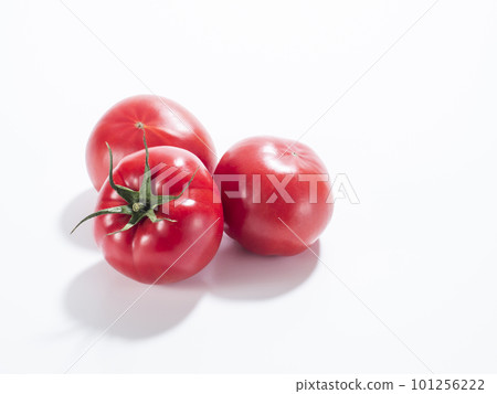 新鮮的西紅柿 新鮮的西紅柿 101256222