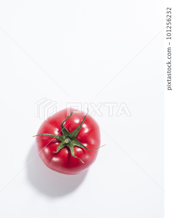 新鮮的西紅柿 新鮮的西紅柿 101256232