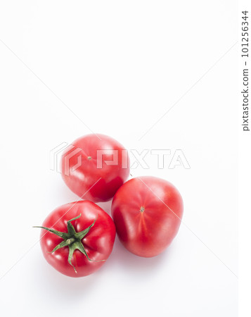 新鮮的西紅柿 新鮮的西紅柿 101256344