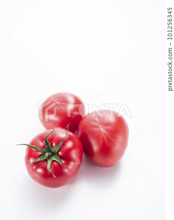 Fresh tomatoes 101256345