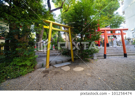 Torii of Tanashi Shrine [Image of Japan] 101256474