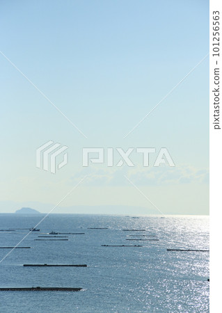 Oyster rafts line Harimanada seen from Murotsu, Mitsucho, Tatsuno City, Hyogo Prefecture, illuminated by the morning sun 101256563