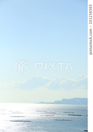 Oyster rafts line Harimanada seen from Murotsu, Mitsucho, Tatsuno City, Hyogo Prefecture, illuminated by the morning sun 101256565