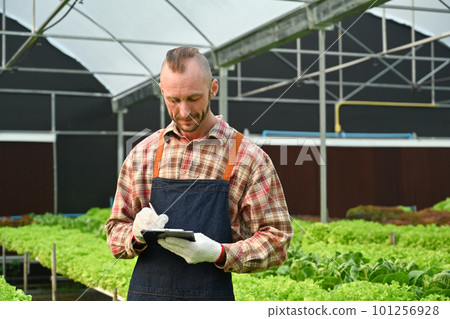 Happy caucasian male farmer using digital tablet, checking quality of organic vegetable in greenhouse before harvest 101256928