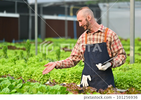 Portrait of caucasian male small business owner with digital tablet standing among vegetable in greenhouse 101256936