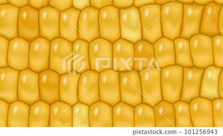 Sweet corn seamless pattern background for yellow page fill, wrapping paper. Fresh maize cob seamless texture. Healthy vegetarian food vegetable vector agricultural background 101256943