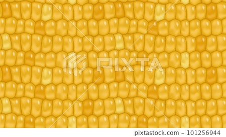 Sweet corn seamless pattern background for yellow page fill, wrapping paper. Fresh maize cob seamless texture. Healthy vegetarian food vegetable vector agricultural background 101256944