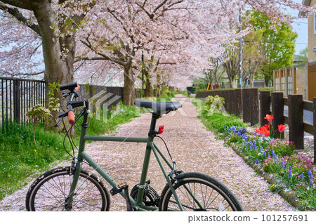 Cycling Bicycle Mini Velo 假日單車盛開 101257691