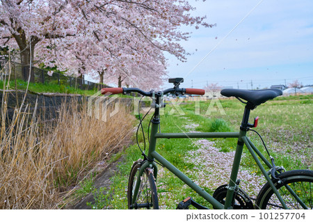 Cycling Bicycle Mini Velo 假日單車盛開 101257704