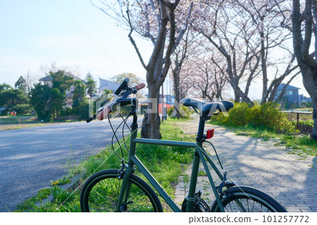 Cycling Bicycle Mini Velo Holiday Bicycle in full bloom 101257772