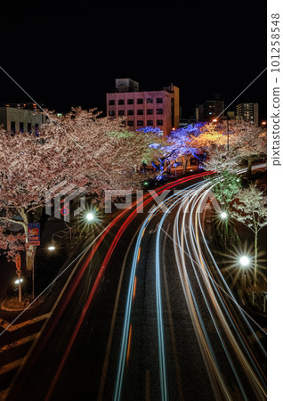 Hitachi City, Ibaraki Prefecture Night view of Sakura-dori and the trajectory of the car 101258548