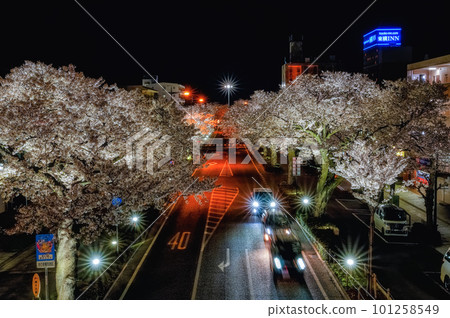 Hitachi City, Ibaraki Prefecture Night view of Sakura-dori and the trajectory of the car 101258549