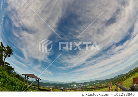 清爽的初夏天空和草地 清爽的初夏天空和草地 101258846