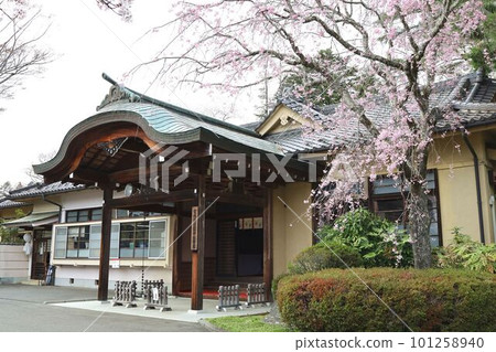 青葉城、護國神社和春天的櫻花 青葉城、護國神社和春天的櫻花 101258940
