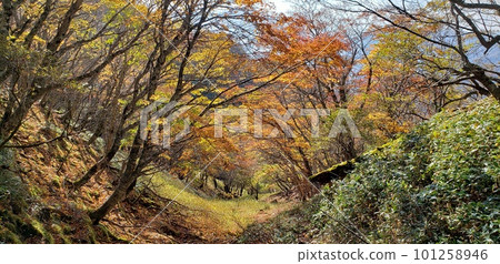 秋葉中倒映的山谷 秋葉中倒映的山谷 101258946