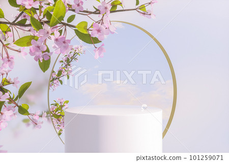 Natural beauty podium backdrop with spring sakura cherry blossom tree branch. Natural beauty podium backdrop with spring sakura cherry blossom tree branch. 101259071