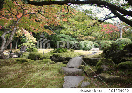 辰野街景 秋天的辰野公園 紅葉谷 Juen-tei 花園 苔蘚覆蓋的花園和石板路 兵庫縣辰野市辰野町 101259090