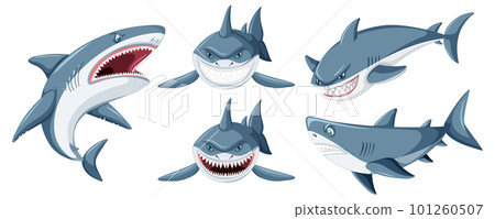 Shark Doing Different Activities Cartoon Characters 101260507