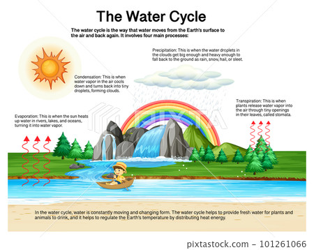 The water cycle diagram for science education The water cycle diagram for science education 101261066