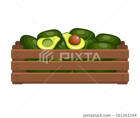Wooden box with tropical avocados. Healthy food, fruits, agriculture illustration, vector Wooden box with tropical avocados. Healthy food, fruits, agriculture illustration, vector 101261194