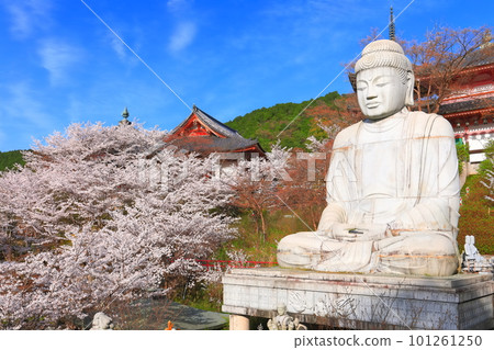 [奈良縣]櫻花盛開的坪坂寺（櫻花大佛） 101261250