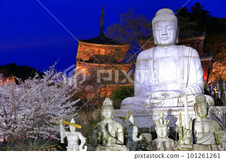 [奈良縣]櫻花盛開的坪坂寺夜景（櫻花大佛） 101261261