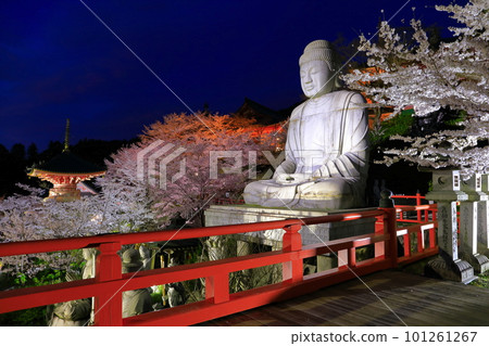 [奈良縣]櫻花盛開的坪坂寺夜景（櫻花大佛） 101261267