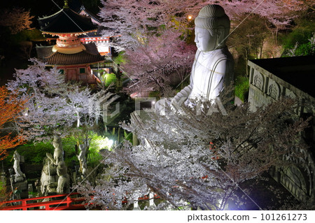 [奈良縣]櫻花盛開的坪坂寺夜景（櫻花大佛） 101261273