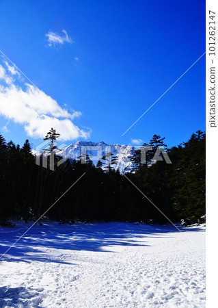 冬天的八岳綠池和飯嶽山 101262147