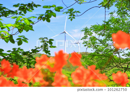 Fresh green, refreshing blue sky and windmill 101262750