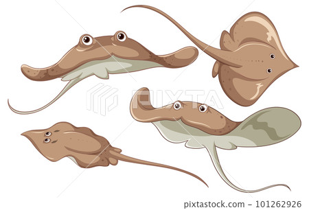 Stingray in cartoon style 101262926