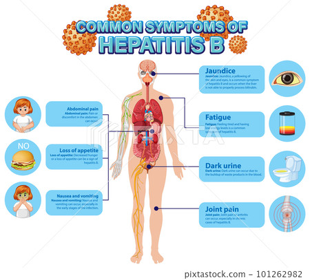 Informative poster of common symptoms Hepatitis B Informative poster of common symptoms Hepatitis B 101262982
