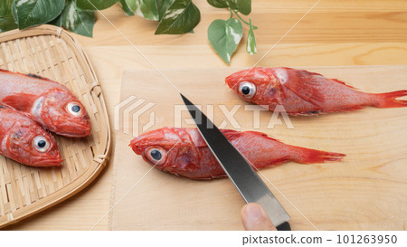 切菜板上的鮮魚 | 去除 kichiji (kinki) 鱗片的圖像 切菜板上的鮮魚 | 去除 kichiji (kinki) 鱗片的圖像 101263950