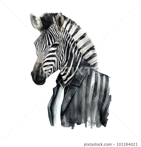 Watercolor zebra in suit gentleman anthropomorphic illustration, fashion animals Watercolor zebra in suit gentleman anthropomorphic illustration, fashion animals 101264021