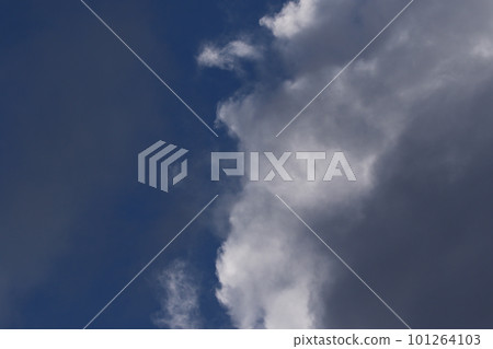 Clear blue sky and white clouds 101264103