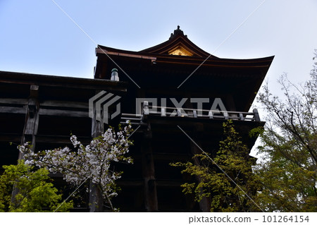 日本京都春天的清水寺主殿稱為清水舞台和美麗的櫻花格子柱稱為 Kakezukuri 101264154