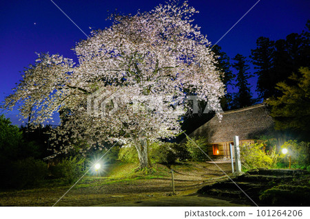 Illumination of the Akuzawa Family Residence Illumination of the Akuzawa Family Residence 101264206