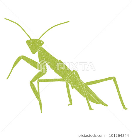 從側面看的螳螂剪影,顏色 從側面看的螳螂剪影,顏色 101264244