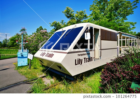 Lily Train running through Yurigahara Park (Kita Ward, Sapporo City, Hokkaido) 101264775