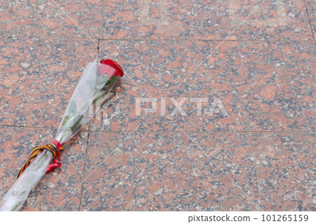 carnations and St. George ribbon, on the background of the monument carnations and St. George ribbon, on the background of the monument 101265159