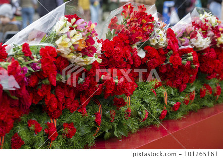 carnations and St. George ribbon, on the background of the monument 101265161