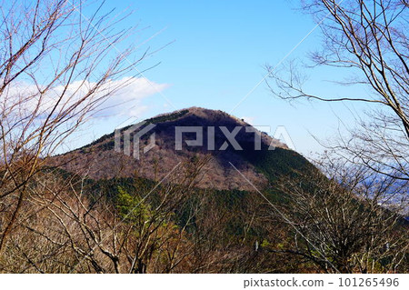 從南足柄市足柄萬葉公園附近看到的矢倉山 101265496